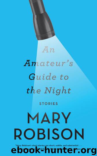 An Amateur's Guide to the Night by Mary Robison