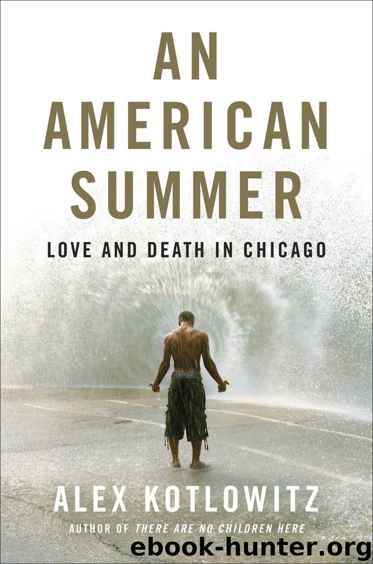 An American Summer: Love and Death in Chicago by Alex Kotlowitz