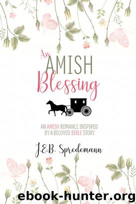 An Amish Blessing by J.E.B. Spredemann