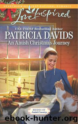 An Amish Christmas Journey by Patricia Davids