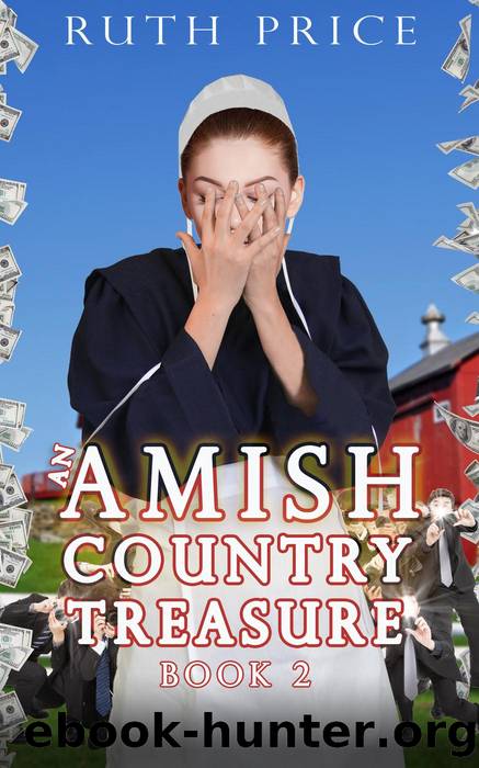 An Amish Country Treasure 2 by Ruth Price