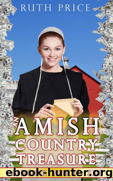 An Amish Country Treasure 4-Book Boxed Set by Ruth Price