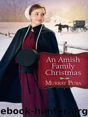 An Amish Family Christmas by Murray Pura
