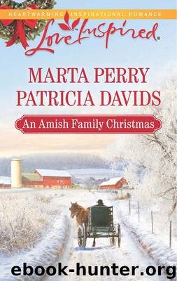 An Amish Family Christmas: Heart of Christmas\A Plain Holiday by Marta Perry