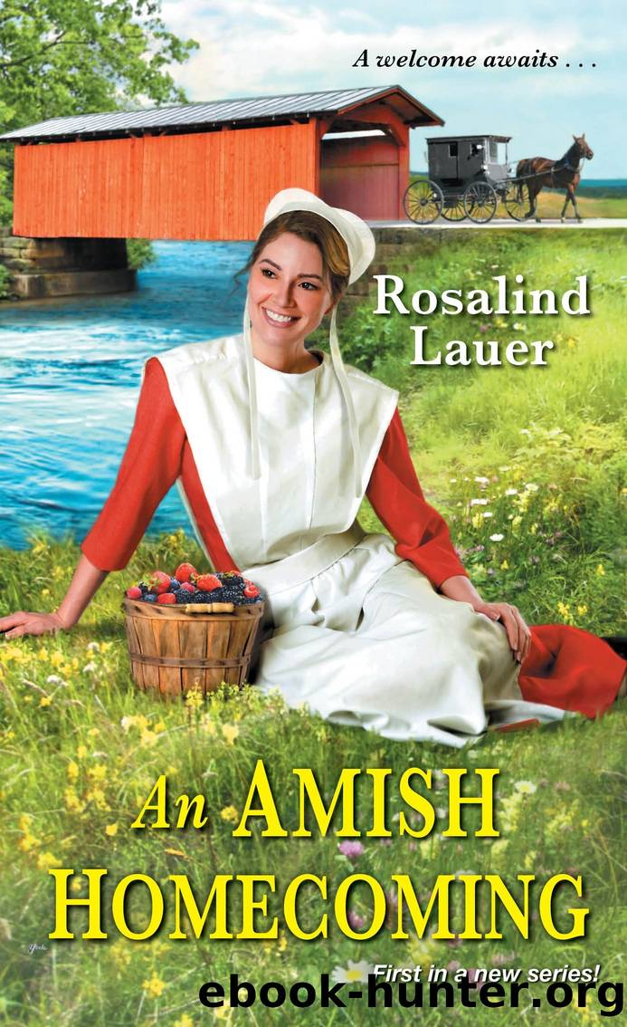 An Amish Homecoming by Rosalind Lauer