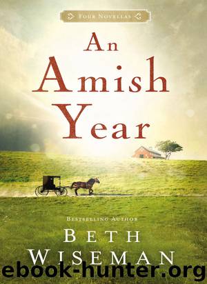 An Amish Year by Beth Wiseman