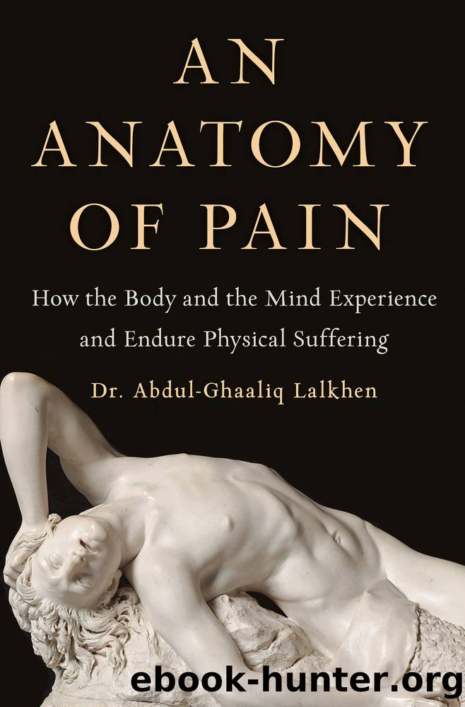 An Anatomy of Pain by Abdul-Ghaaliq Lalkhen