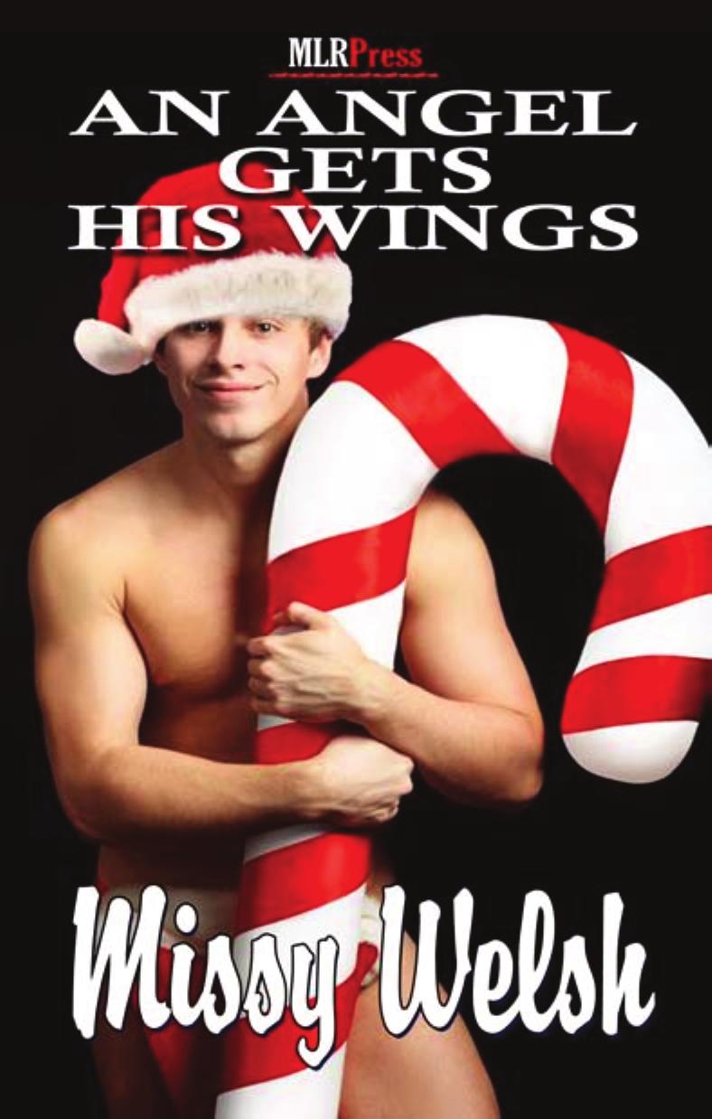 An Angel Gets His Wings by Missy Welsh