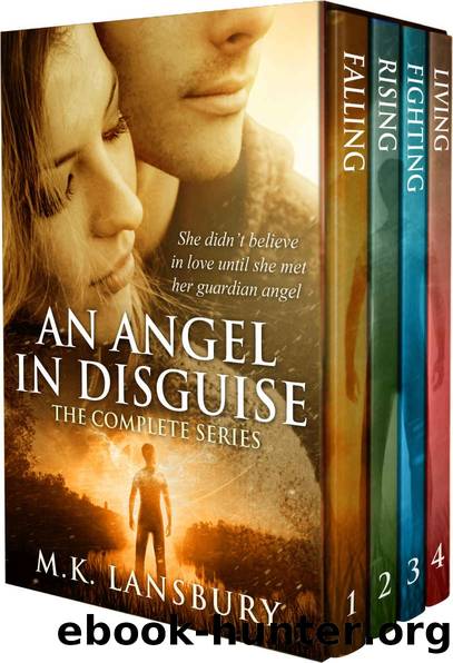 An Angel in Disguise- The Complete Series by M K Lansbury