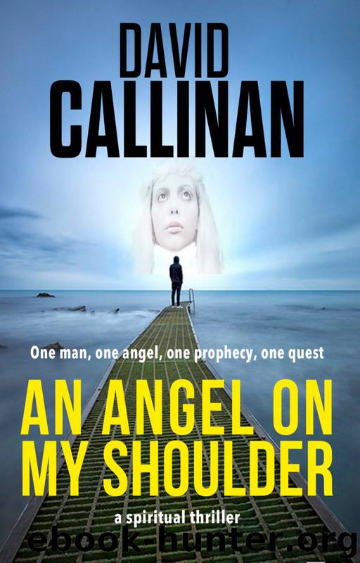 An Angel on My Shoulder by David Callinan