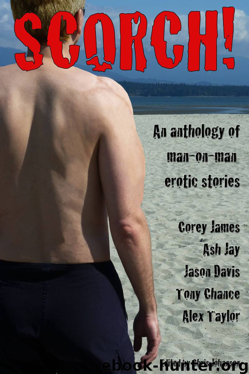 An Anthology of Man-on-Man Erotic Stories by Scorch!