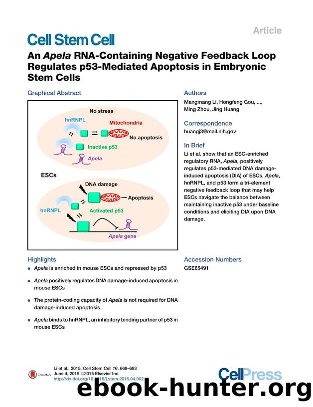 An Apela RNA-Containing Negative Feedback Loop Regulates p53-Mediated Apoptosis in Embryonic Stem Cells by unknow