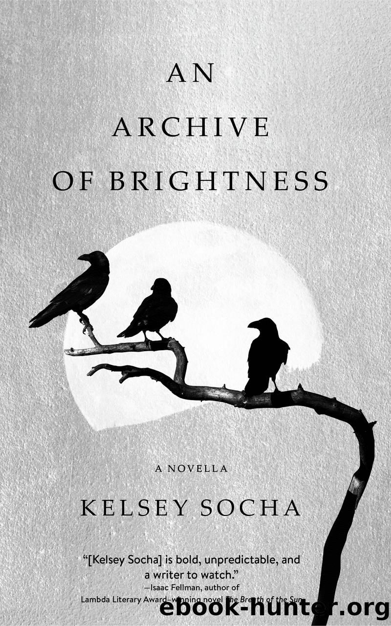 An Archive of Brightness by Kelsey Socha