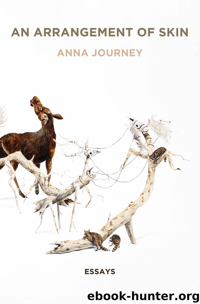 An Arrangement of Skin by Anna Journey