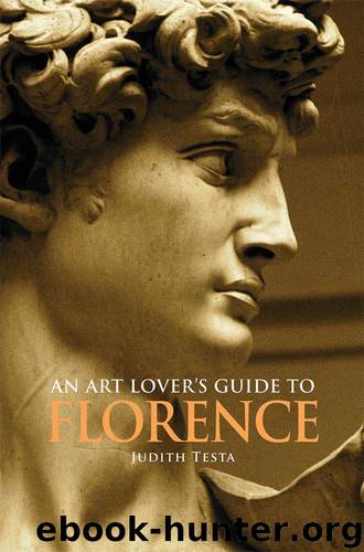 An Art Lover's Guide to Florence by Testa Judith;