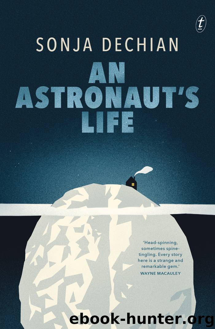 An Astronaut's Life by Sonja Dechian