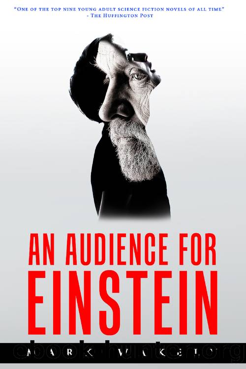 An Audience for Einstein by Mark Wakely
