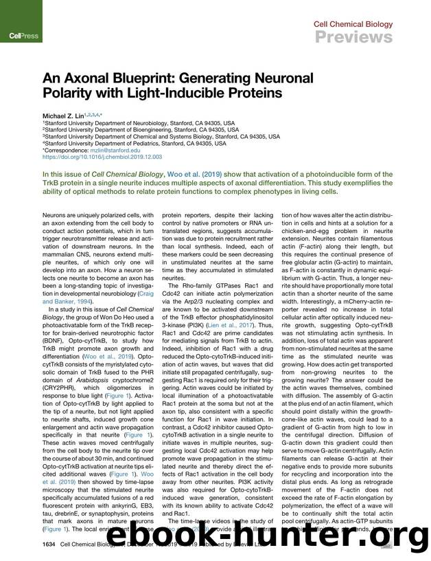 An Axonal Blueprint: Generating Neuronal Polarity with Light-Inducible Proteins by Michael Z. Lin