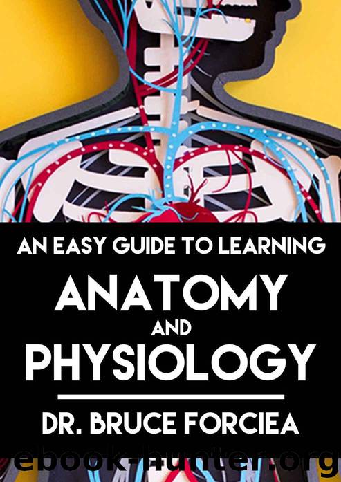 An Easy Guide to Learning Anatomy and Physiology by Forciea Bruce