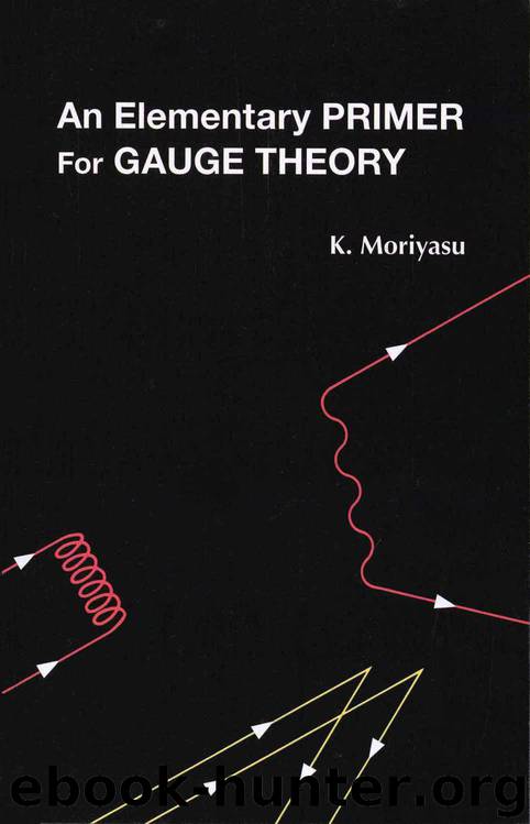 An Elementary Primer for Gauge Theory by K. Moriyasu