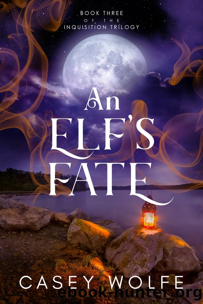 An Elf's Fate by Casey Wolfe