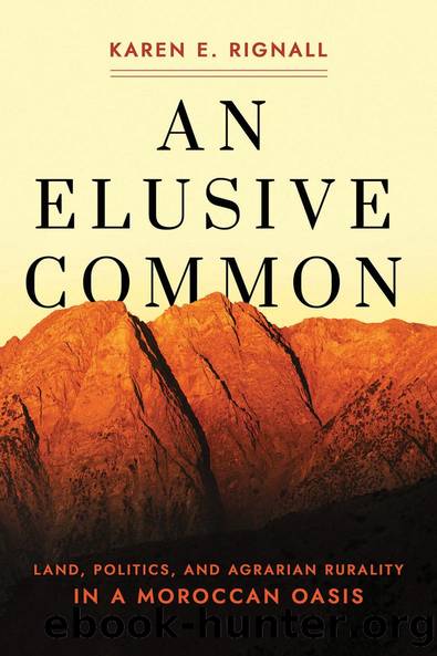 An Elusive Common by Karen E. Rignall