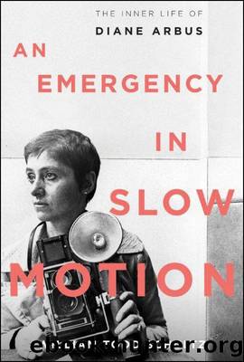 An Emergency in Slow Motion by Schultz William Todd
