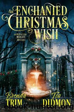 An Enchanted Christmas Wish: Paranormal Women's Fiction (Supernatural Midlife Mystique) (Shrouded Nation Book 13) by Brenda Trim & Tia Didmon