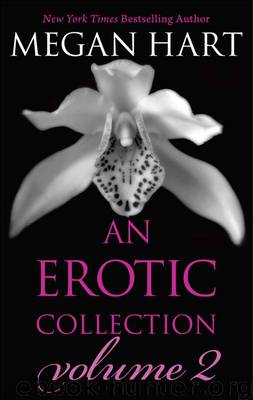 An Erotic Collection Volume 2 by Megan Hart