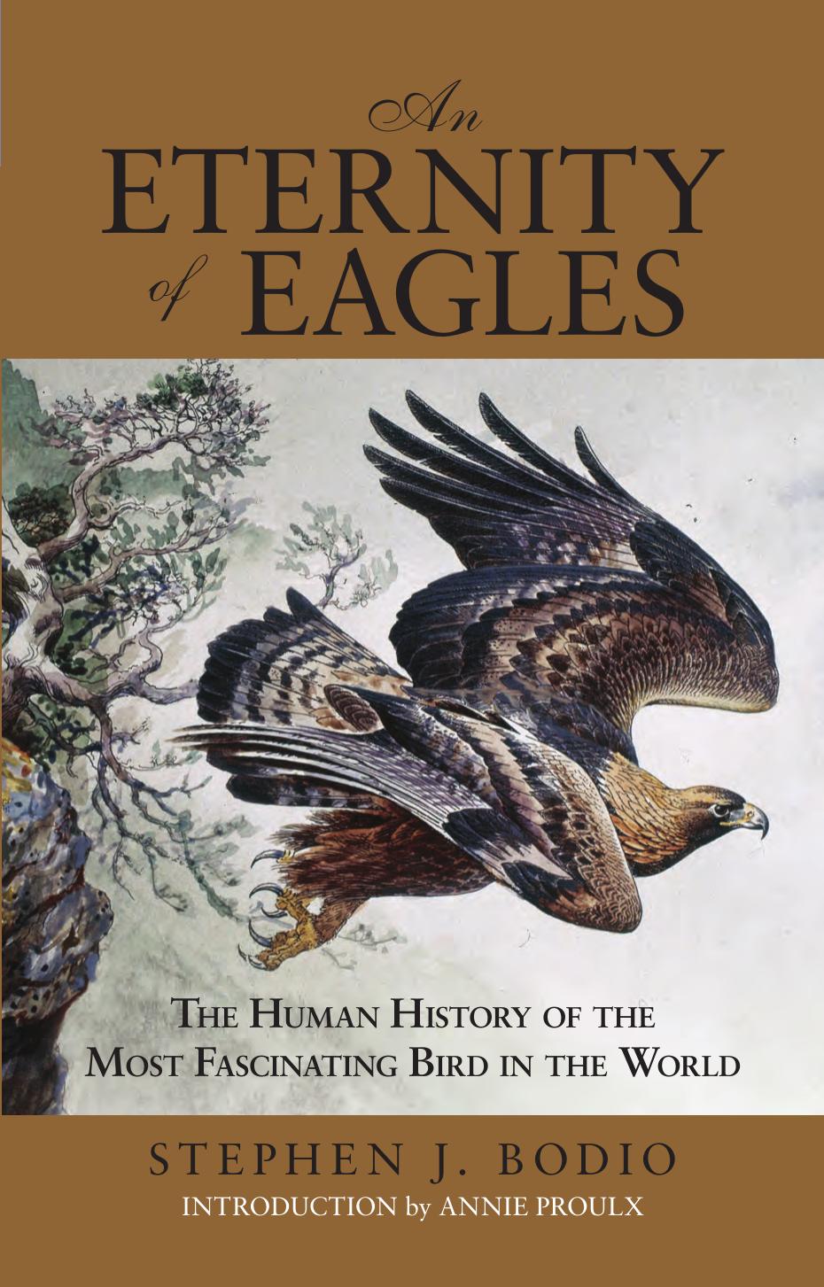 An Eternity of Eagles: The Human History of the Most Fascinating Bird in the World by Stephen J. Bodio