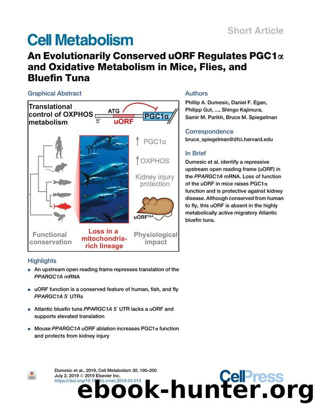 An Evolutionarily Conserved uORF Regulates PGC1&alpha; and Oxidative Metabolism in Mice, Flies, and Bluefin Tuna by unknow