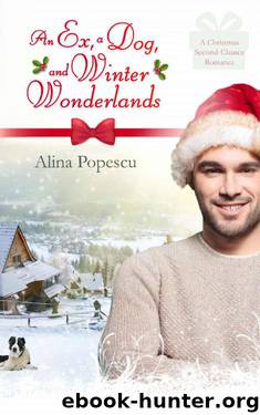 An Ex, A Dog, and Winter Wonderlands: A Gay Christmas Romance by Alina Popescu