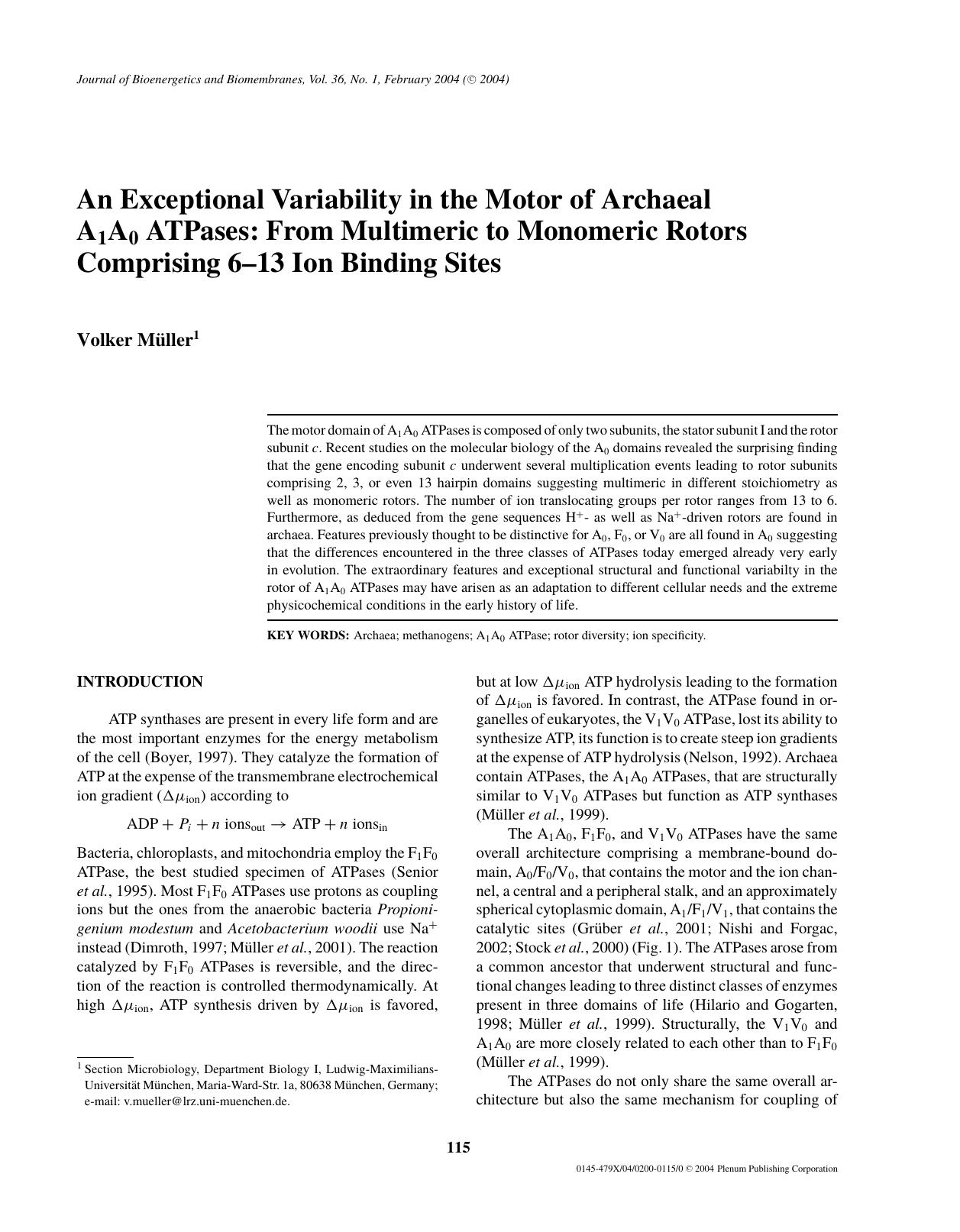 An Exceptional Variability in the Motor of Archaeal A<Subscript>1<Subscript>A<Subscript>0<Subscript> ATPases: From Multimeric to Monomeric Rotors Comprising 6&#x2013;13 Ion Binding Sites by Unknown