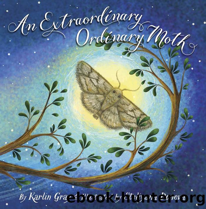 An Extraordinary Ordinary Moth by Karlin Gray