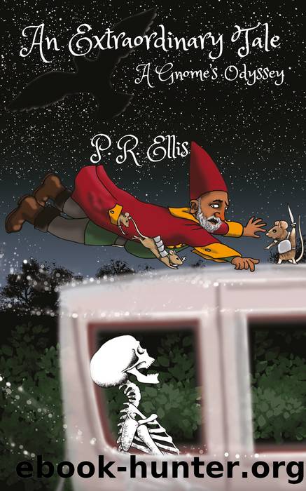 An Extraordinary Tale by P.R. Ellis