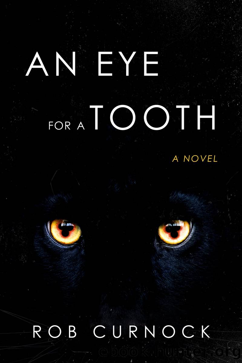 An Eye for a Tooth by Rob Curnock