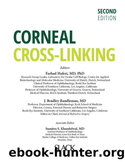 An Heiress for Christmas by Samantha SoRelle