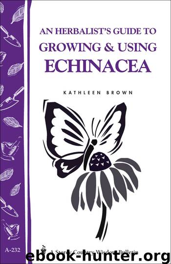 An Herbalist's Guide to Growing & Using Echinacea by Kathleen Brown