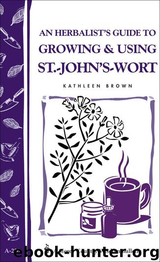 An Herbalist's Guide to Growing & Using St. John's Wort by Kathleen Brown