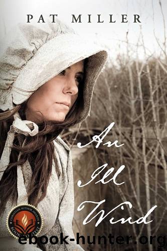 An Ill Wind by Pat Miller