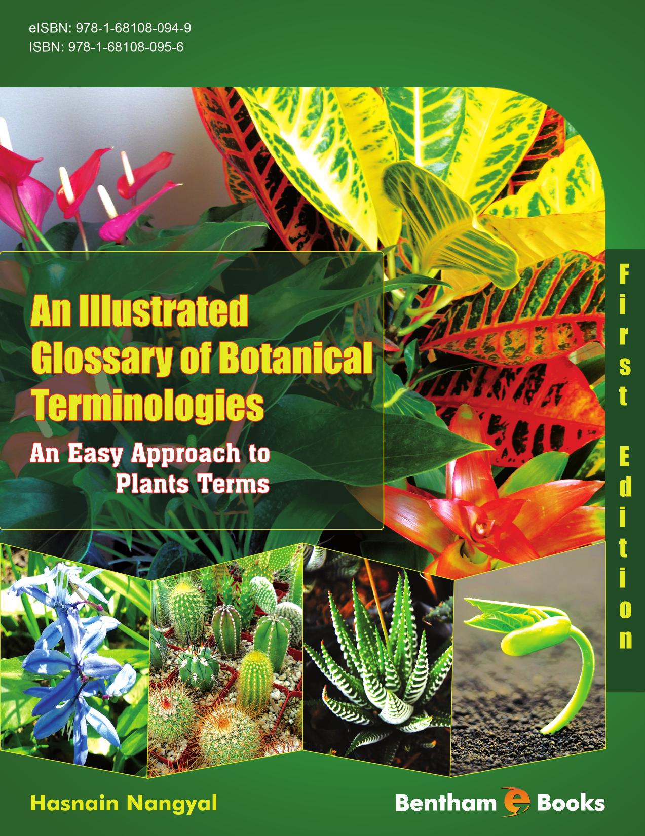 An Illustrated Glossary of Botanical Terminologies: An Easy Approach to Plants Terms by Hasnain Nangyal