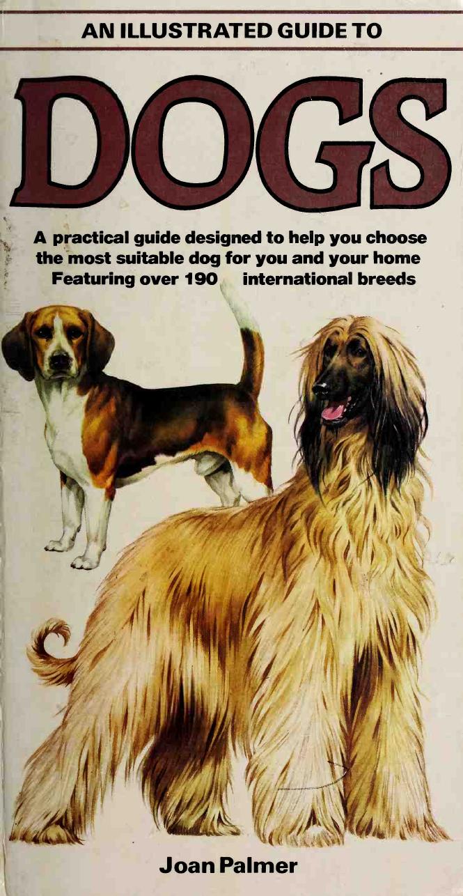 An Illustrated Guide to Dogs: A Practical Guide by Palmer Joan