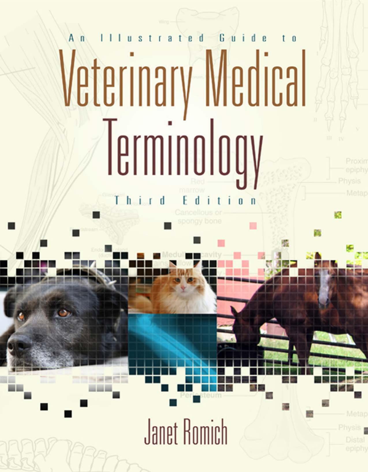 An Illustrated Guide to Veterinary Medical Terminology by Janet Romich