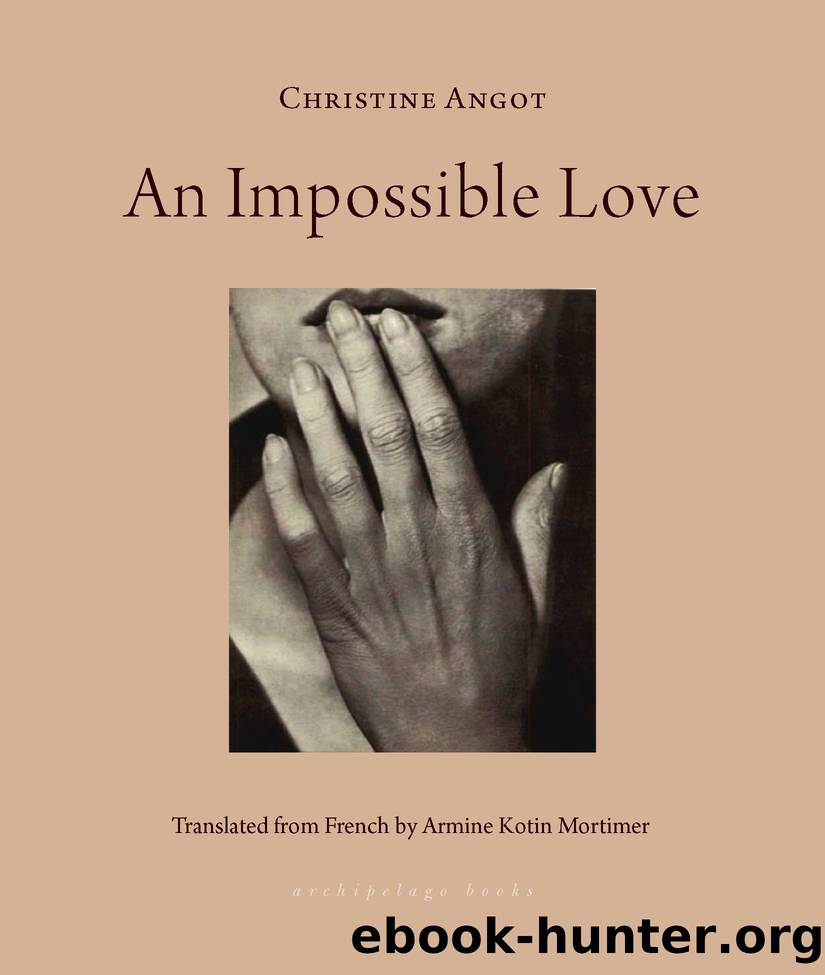 An Impossible Love by Christine Angot