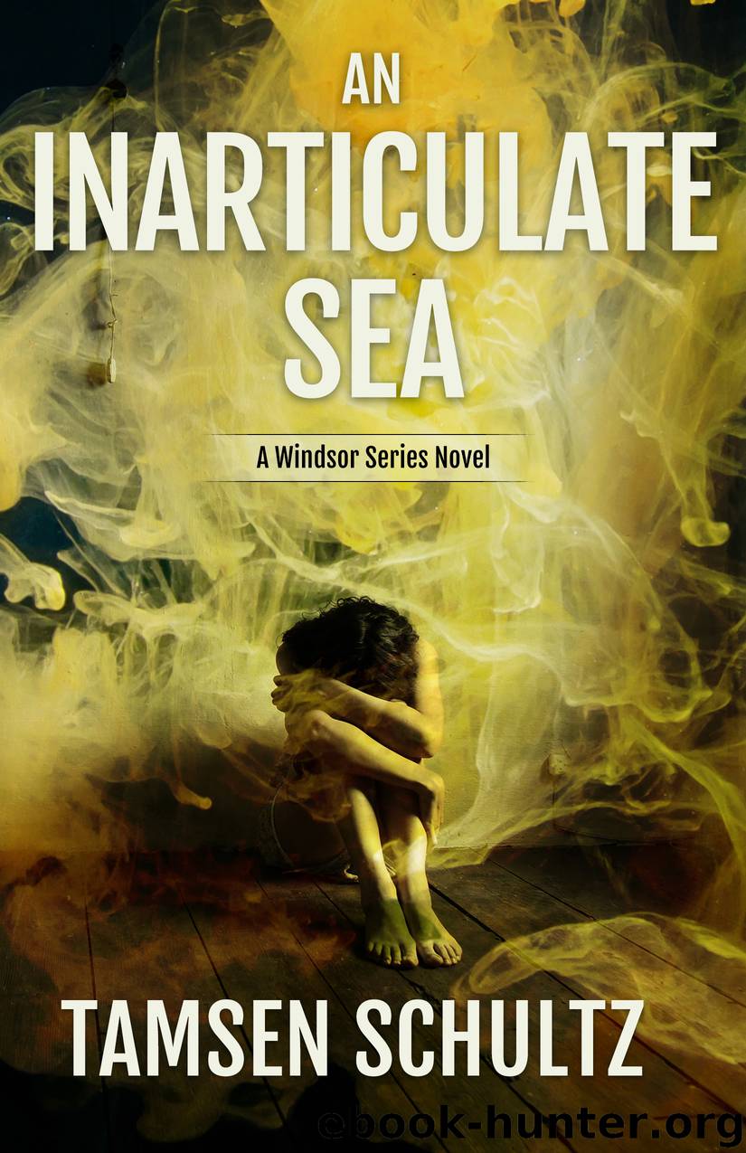 An Inarticulate Sea by Tamsen Schultz