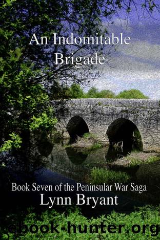 An Indomitable Brigade: Book 7 of the Peninsular War Saga by Lynn Bryant