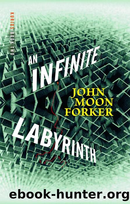 An Infinite Labyrith by John Moon Forker
