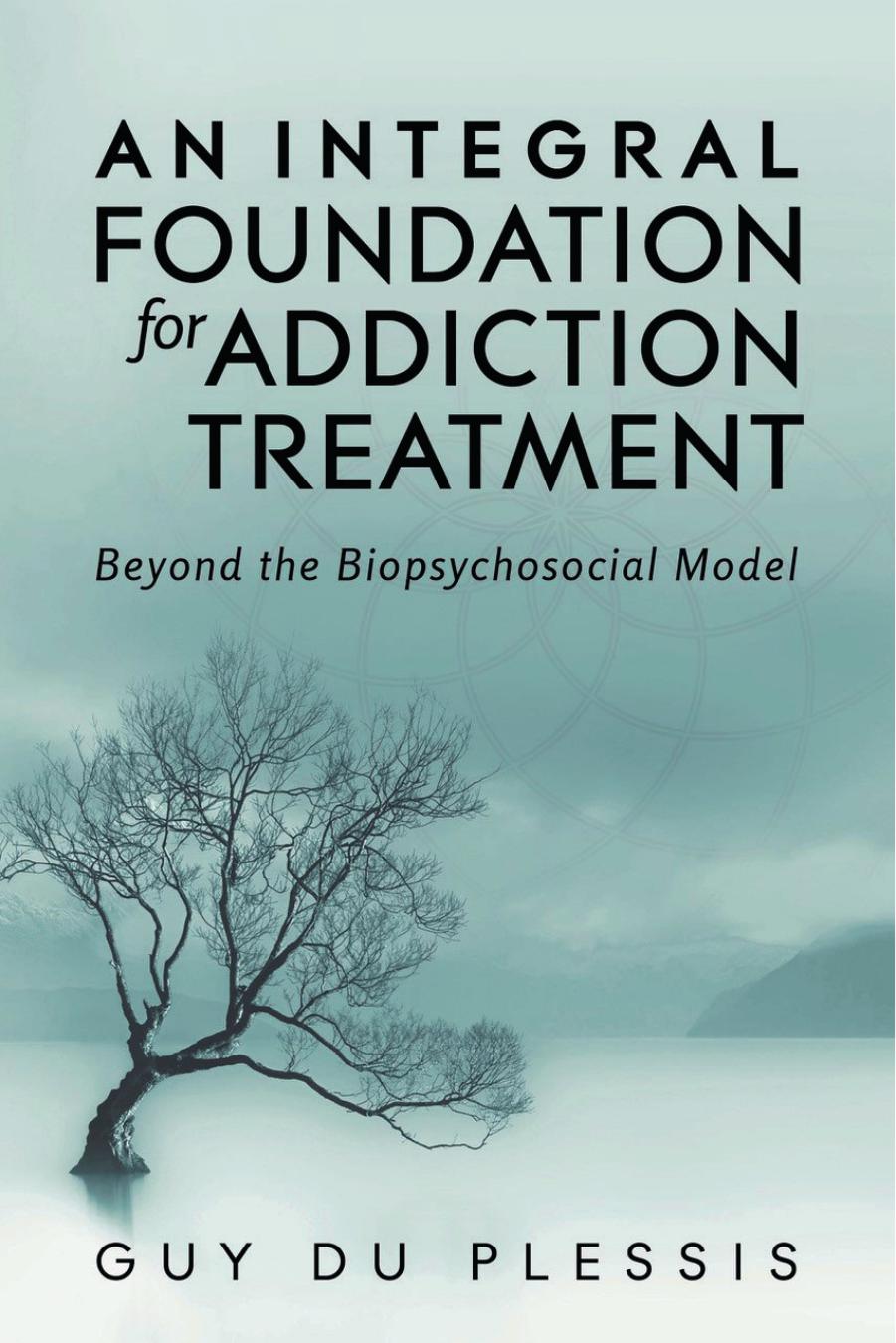 An Integral Foundation for Addiction Treatment: Beyond the Biopsychosocial Model by Guy du Plessis