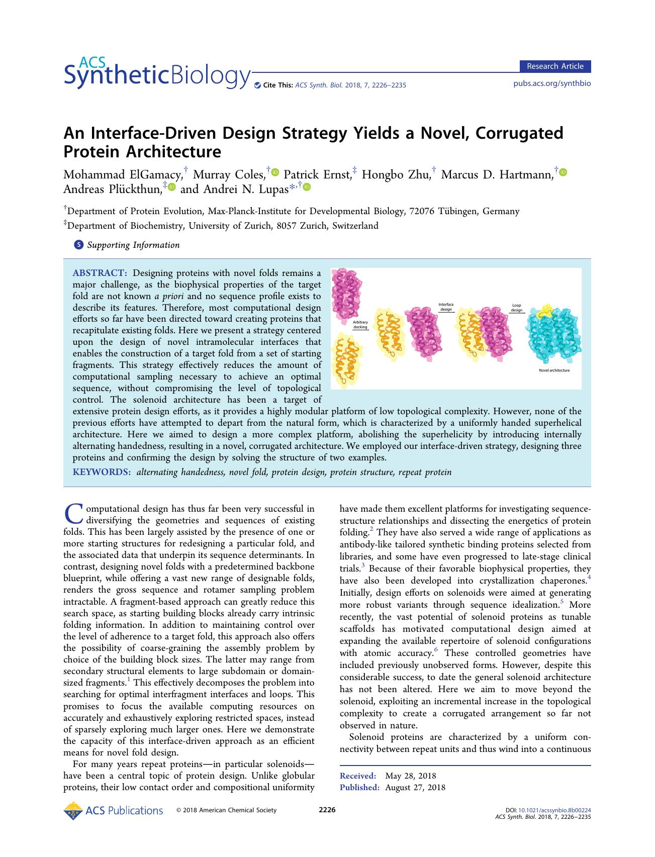 An Interface-Driven Design Strategy Yields a Novel, Corrugated Protein Architecture by unknow