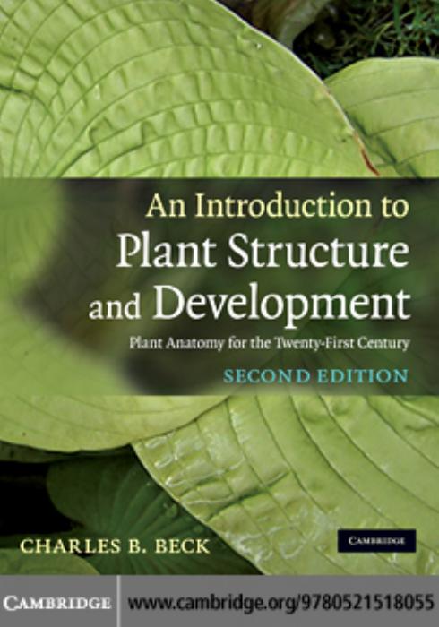 An Introduction to Plant Structure and Development: Plant Anatomy for the Twenty-First Century, 2nd edition by unknow